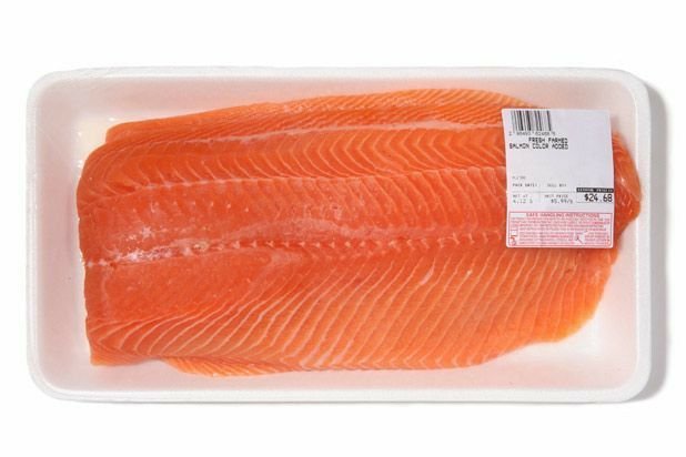 Salmon Fish