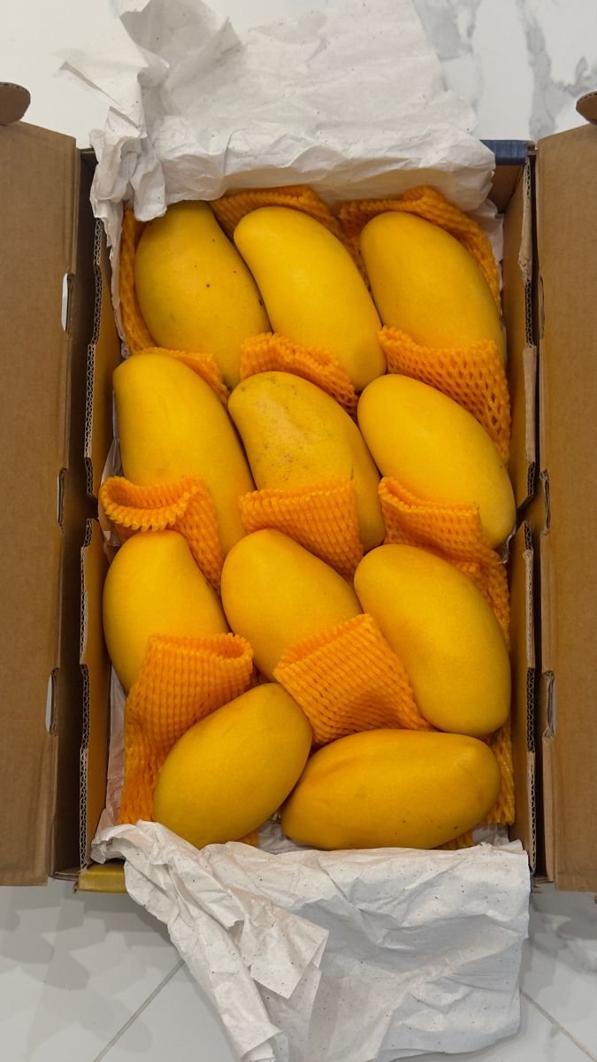 Mango